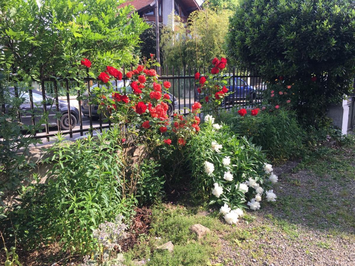 Le Catalpa - Centre Ville, Jardin & Parking! Annecy Dış mekan fotoğraf